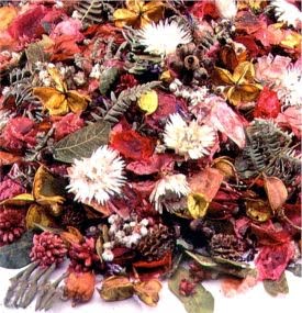 Potpourri from clinical work