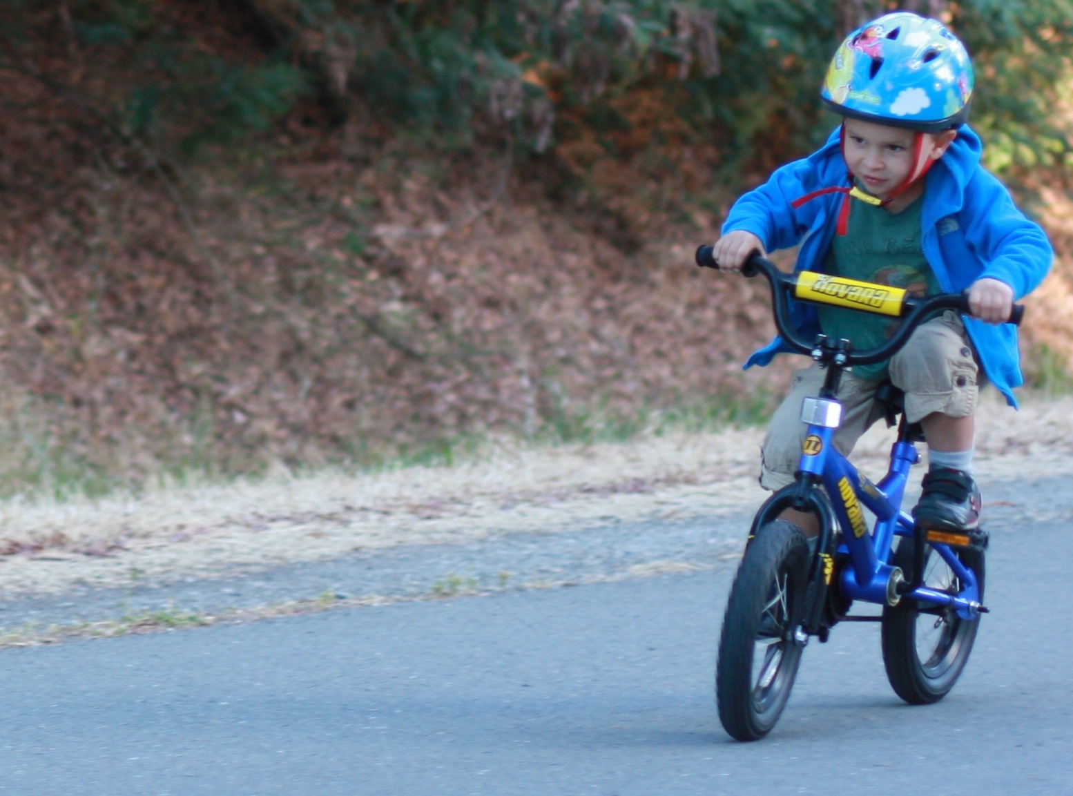 GeriPal Turns 3: The Training Wheels Come off