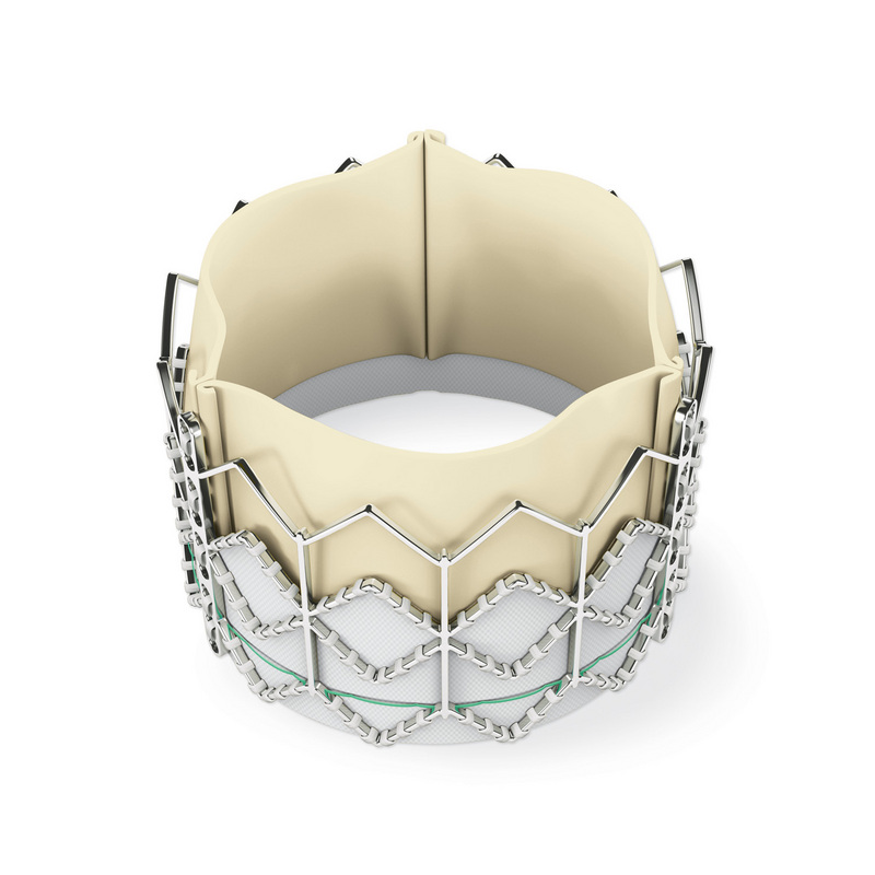 TAVR: Life-prolonging and palliative or risky and costly?