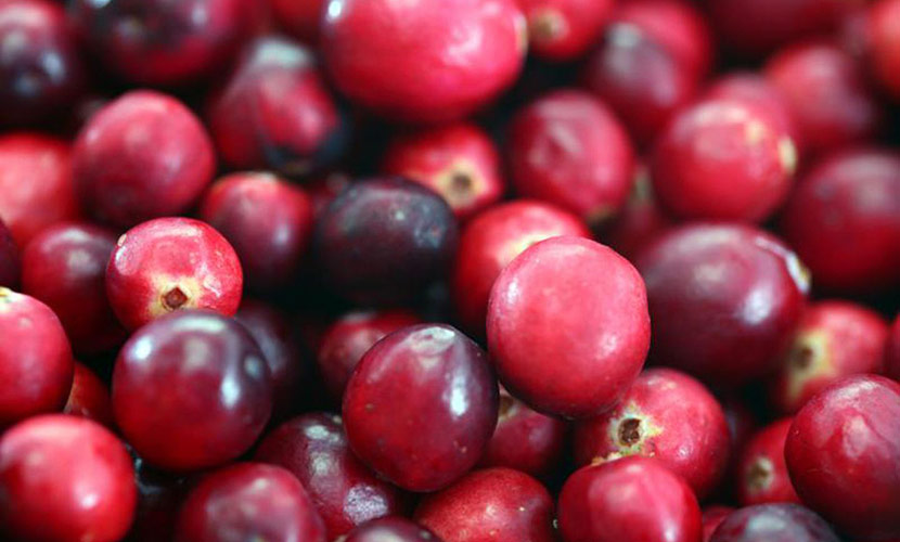 Photo of fresh cranberries