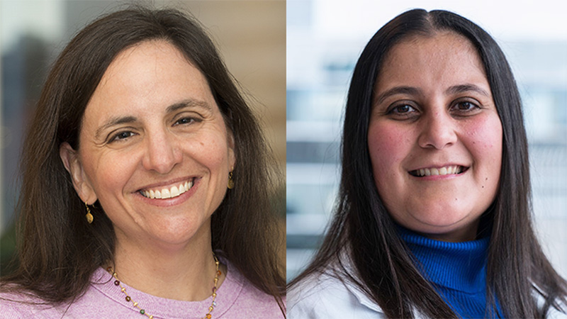 Palliative care for cancer: Podcast with Jennifer Temel and Areej El-Jawahri