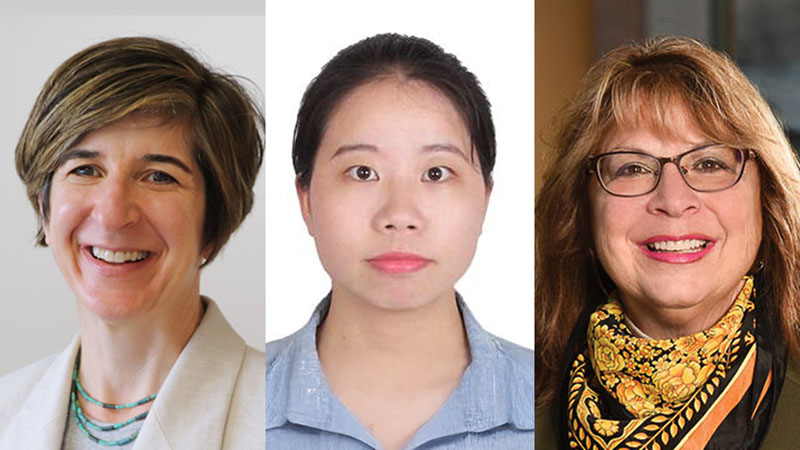 Plenary Abstracts at AAHPM/HPNA: Yael Schenker, Na Ouyang, Marie Bakitas