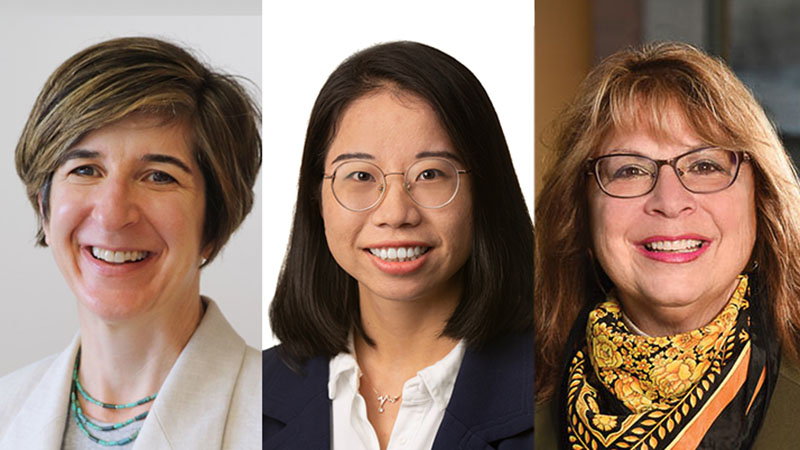 Plenary Abstracts at AAHPM/HPNA: Yael Schenker, Na Ouyang, Marie Bakitas