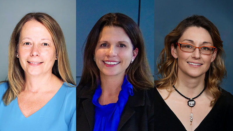 Implementing Palliative Care in Nursing Homes: A Podcast wtih Connie Cole, Kathleen Unroe, and Cari Levy