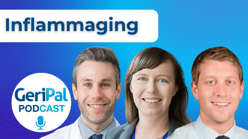 Inflammaging: Brian Andonian, Sara LaHue, Joe Hippensteel